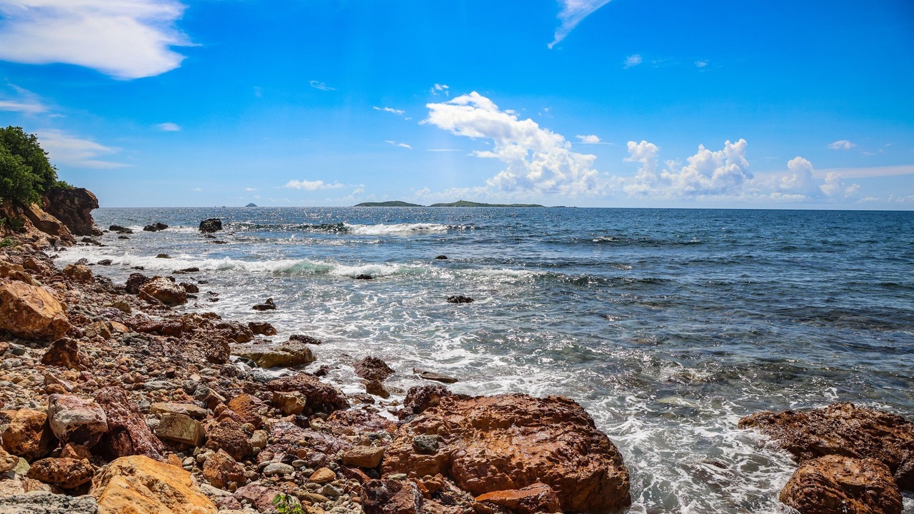 Photo of Others in Bolongo Bay