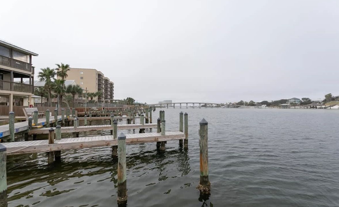 Photo of Others in Orange Beach East