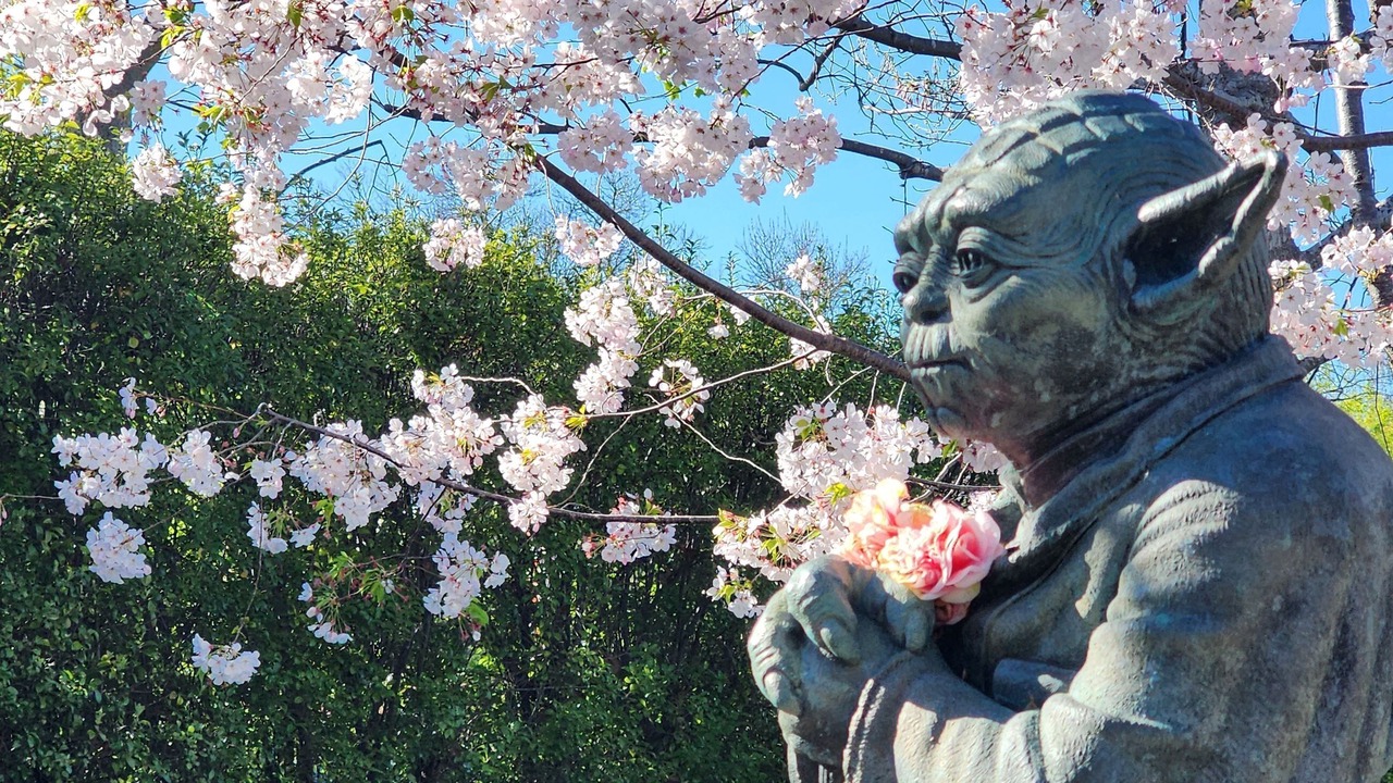 Photo of Others in San Anselmo