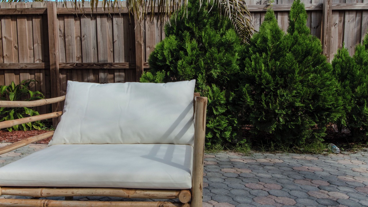Photo of Outdoor in Harbordale