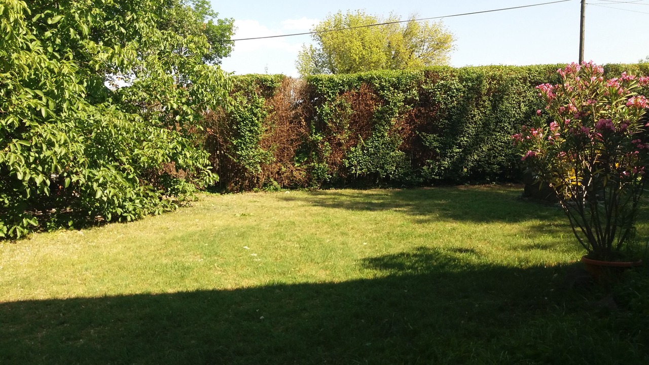 Photo of Outdoor in Badacsony