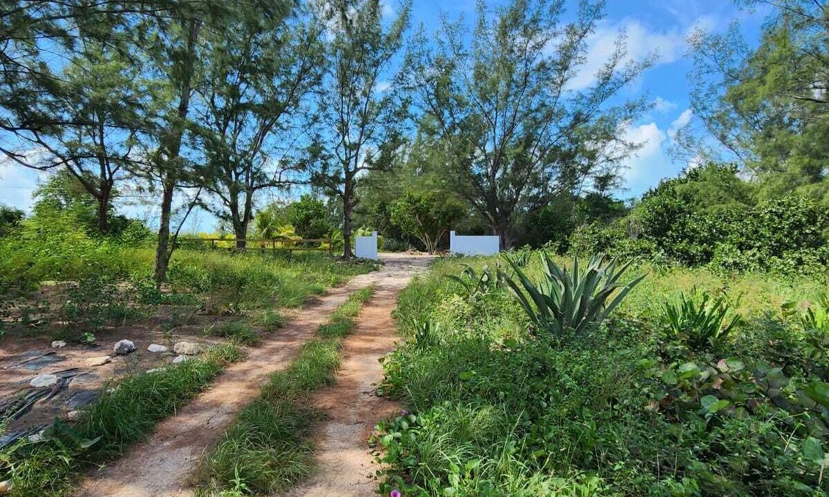 Photo of Outdoor in Winding Bay