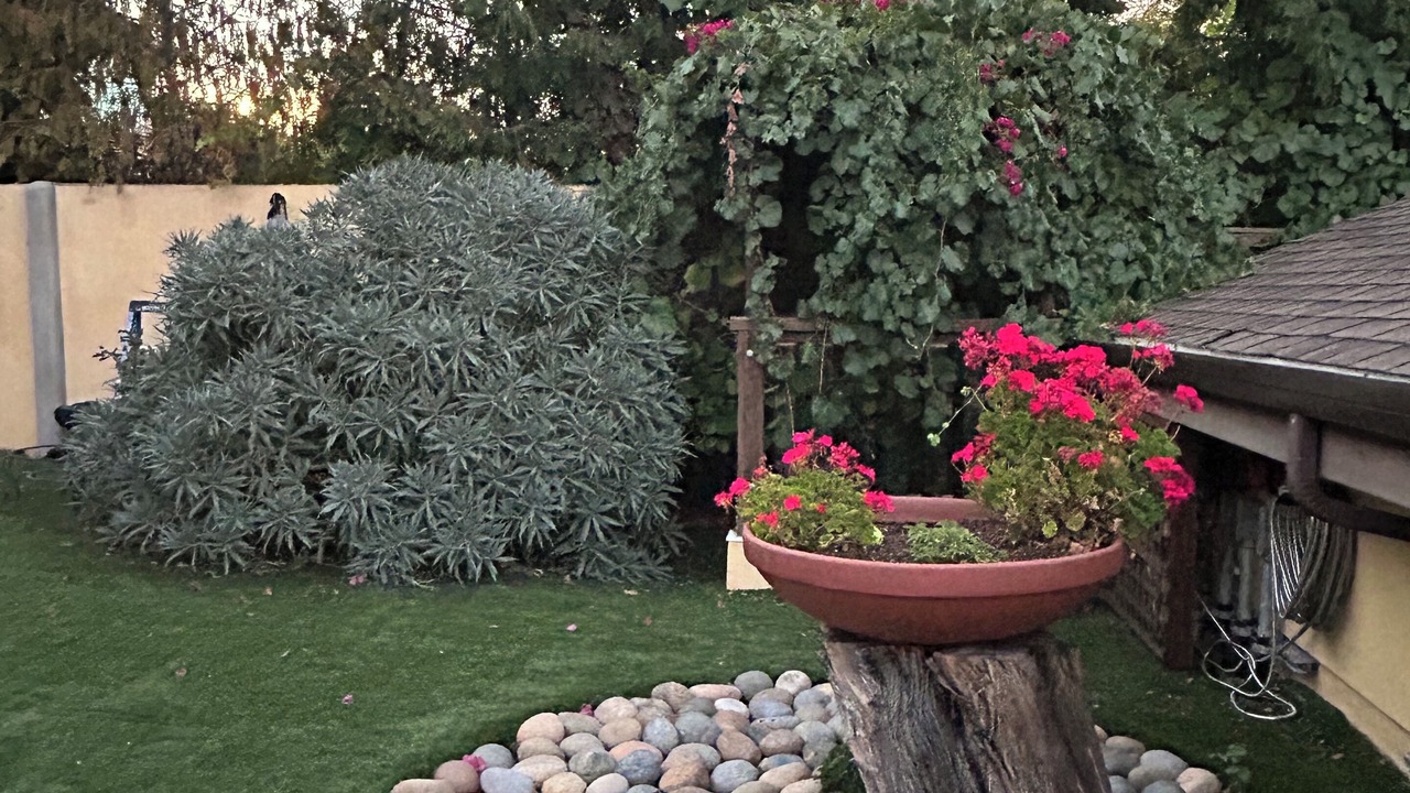Photo of Outdoor in Farm Hills