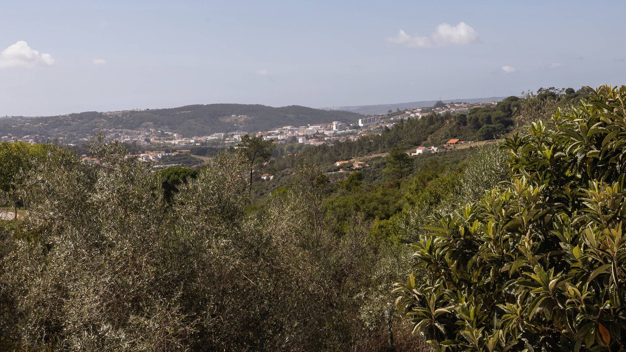 Photo of Others in Alcobaca