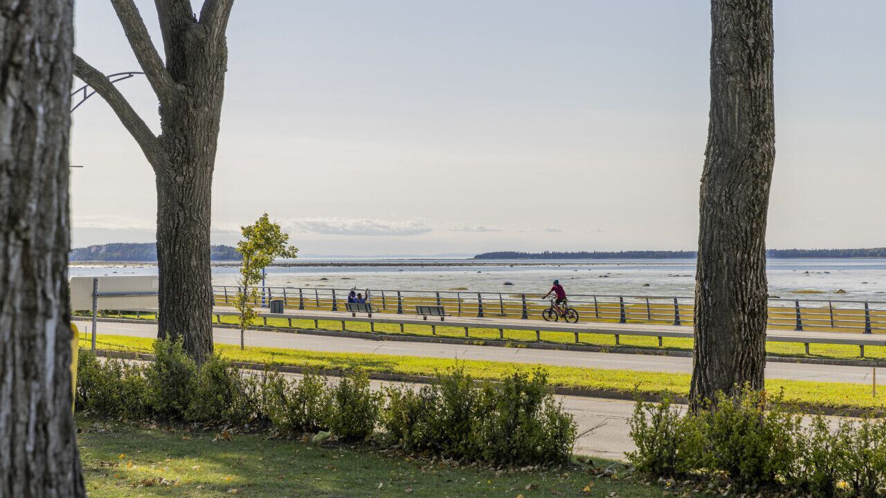 Photo of Others in Rimouski-Neigette
