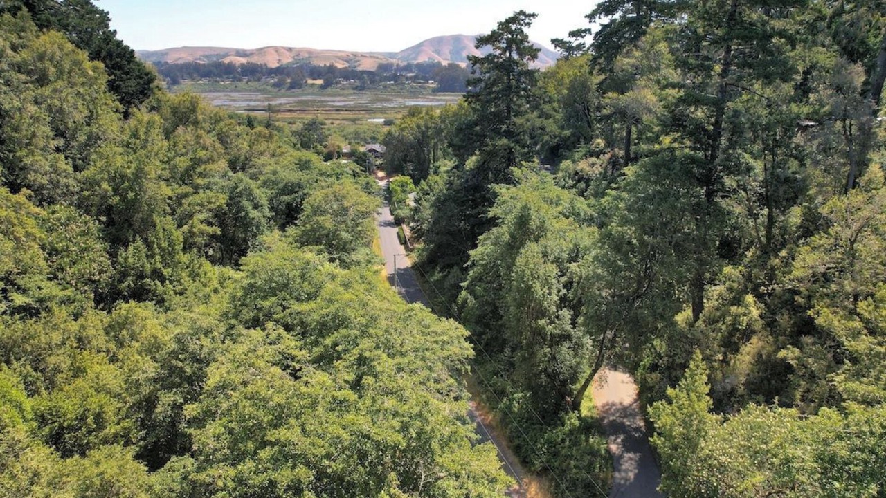 Photo of Others in Point Reyes Station