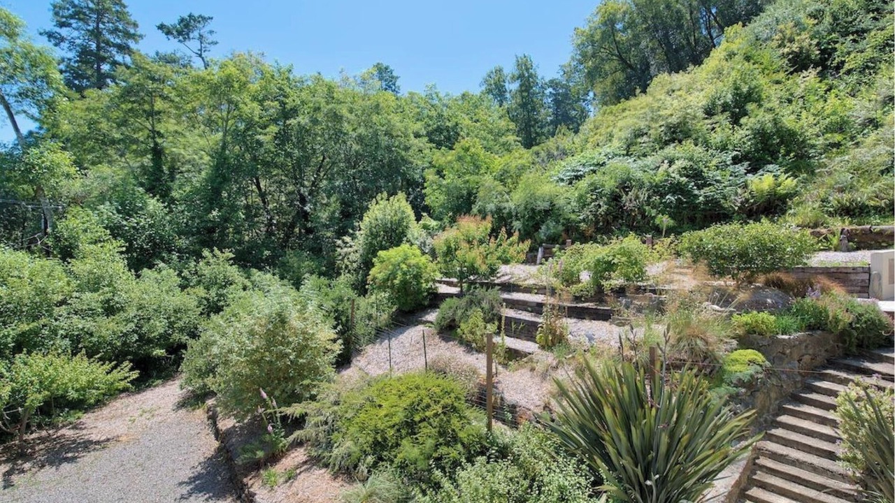 Photo of Outdoor in Point Reyes Station