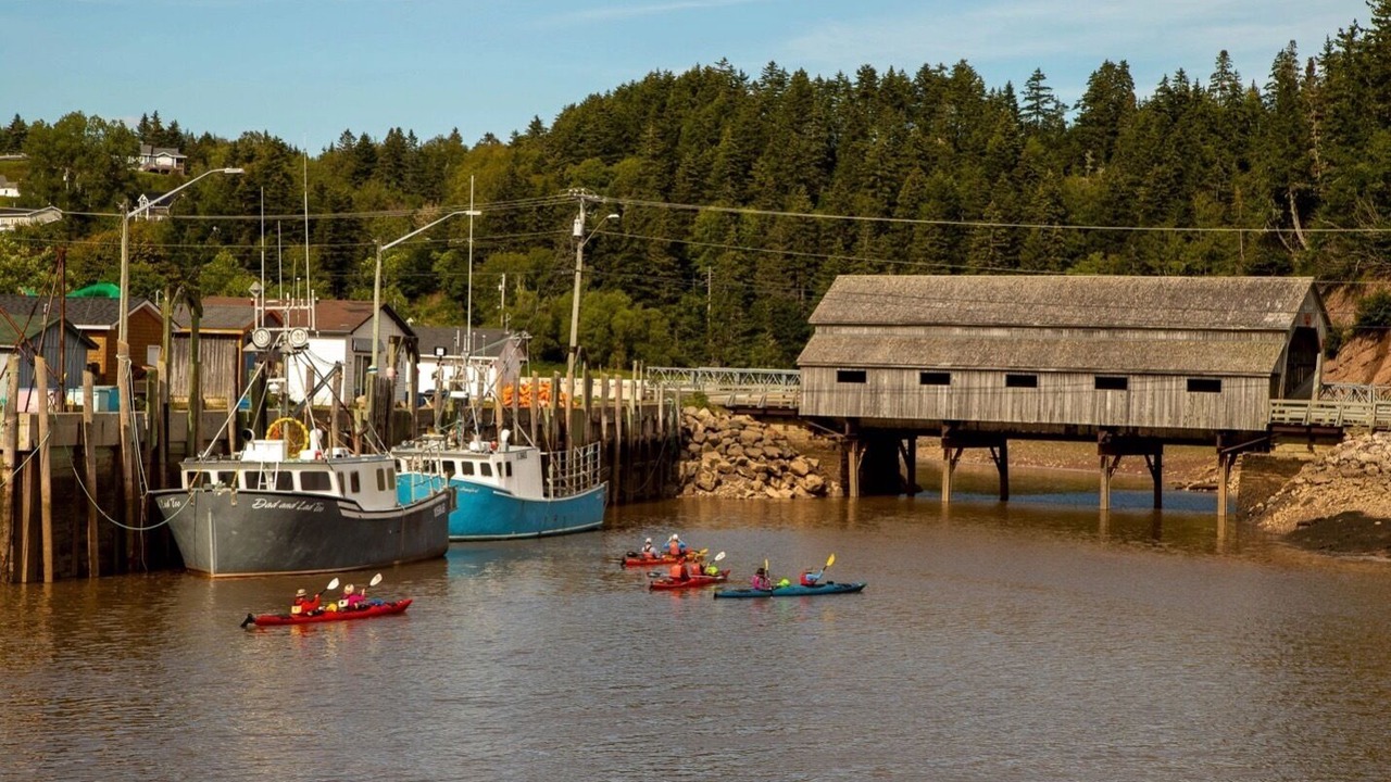 Photo of Others in West Quaco