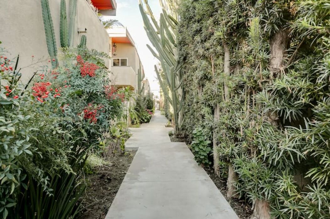 Photo of Outdoor in Valley Village