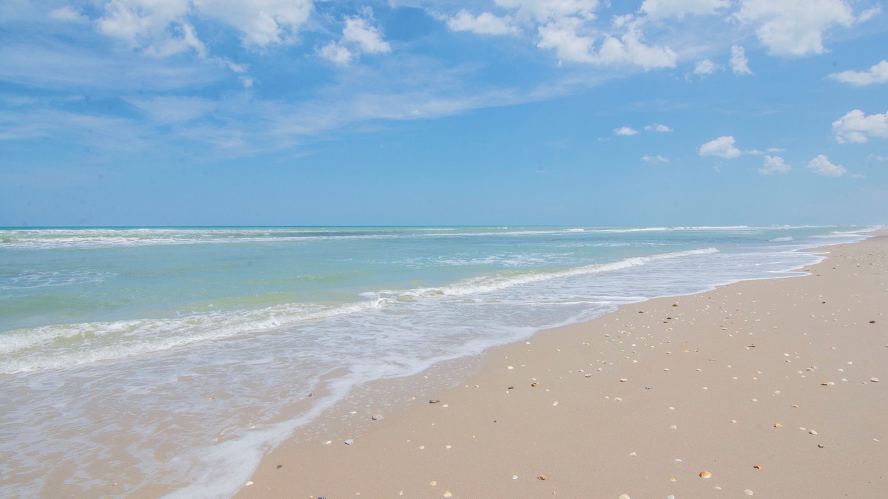 Photo of Others in Wabasso Beach