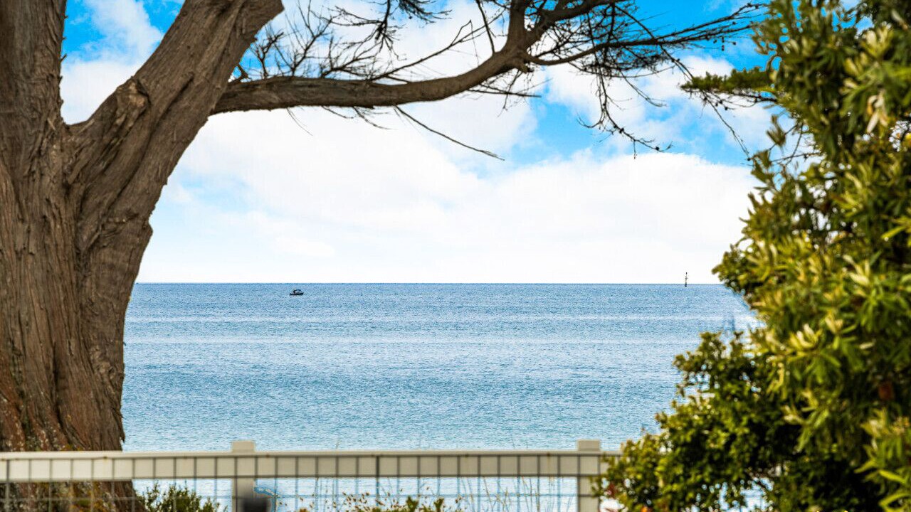 Photo of Others in Indented Head