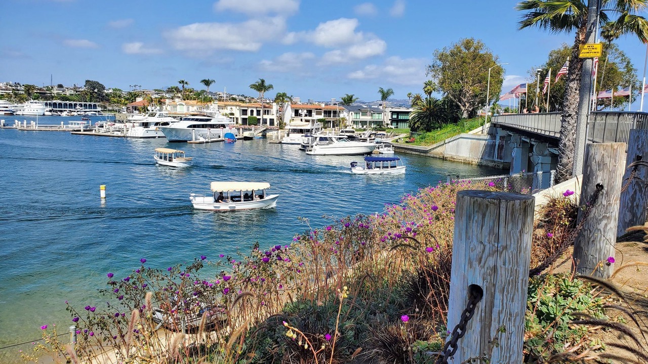 Photo of Others in Newport Beach