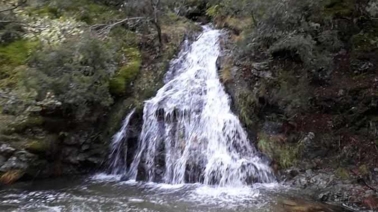 Photo of Others in La Pradera de Navalhorno