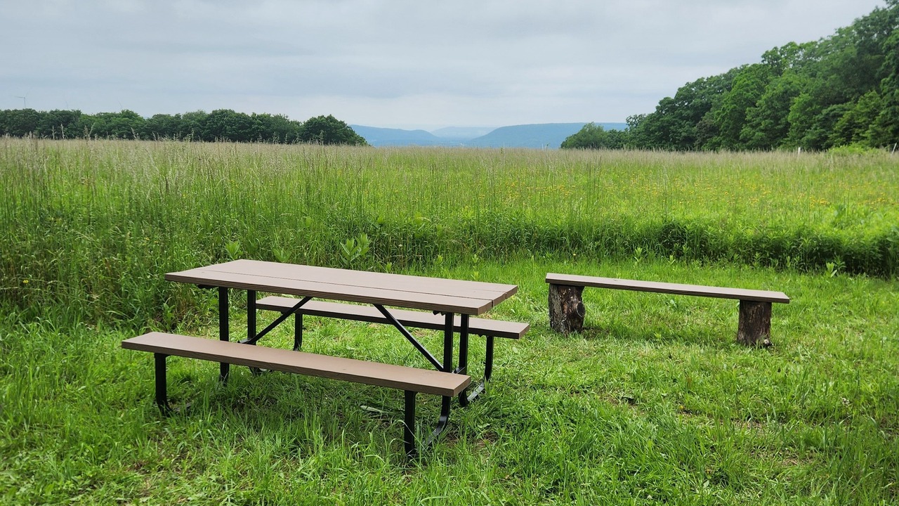 Photo of Outdoor in Cohocton