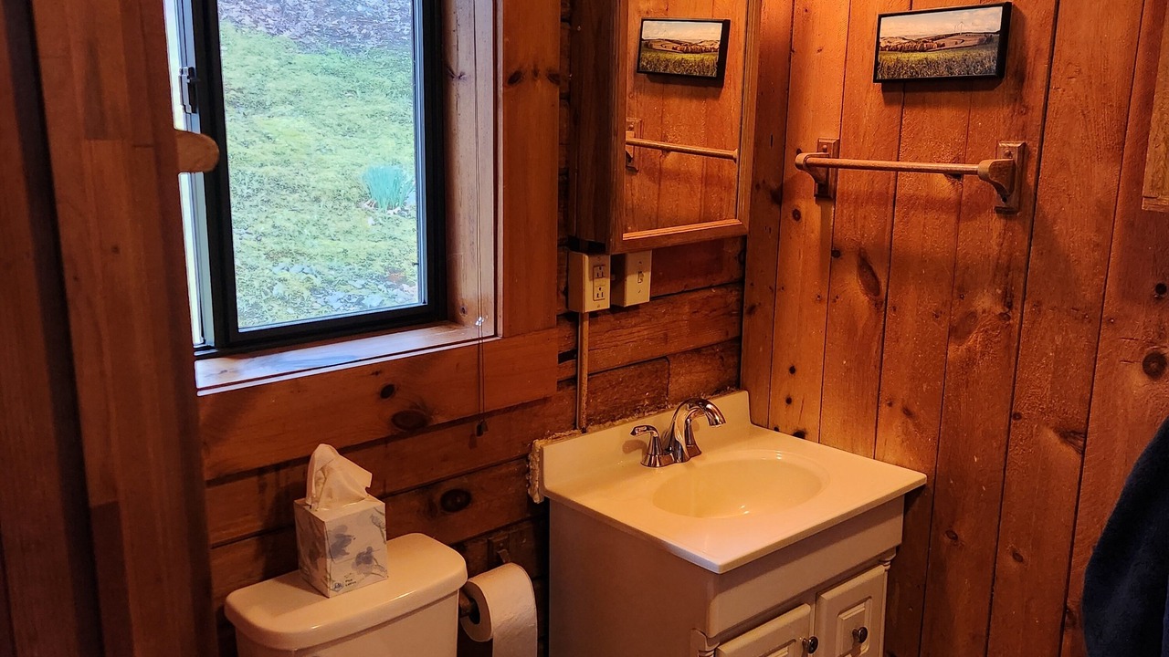 Photo of Bathroom in Cohocton