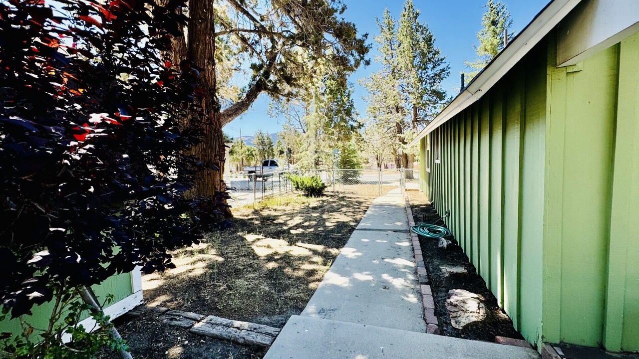 Photo of Outdoor in Whispering Forest