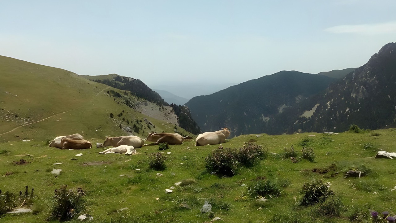 Photo of Others in Ribes De Freser