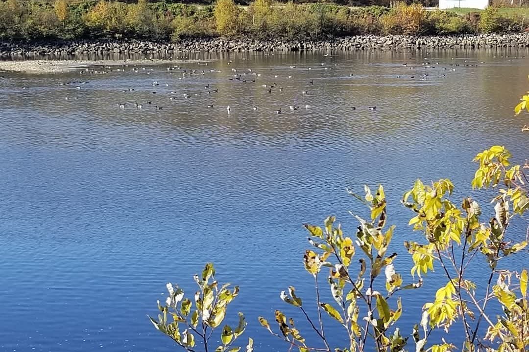 Photo of Others in L'Anse-Saint-Jean