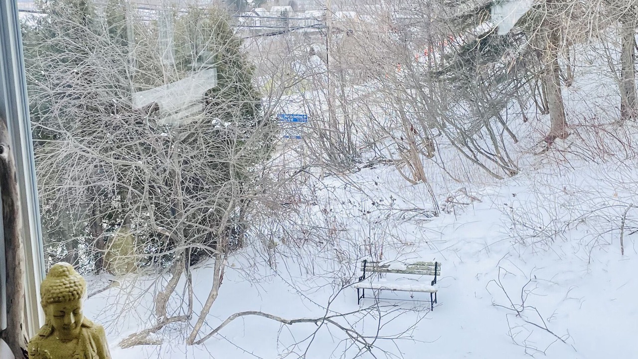 Photo of Others in L'Anse-Saint-Jean