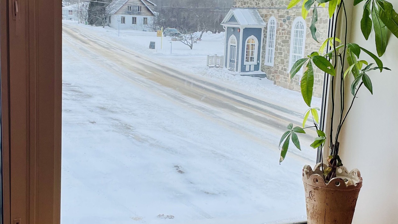 Photo of Others in L'Anse-Saint-Jean