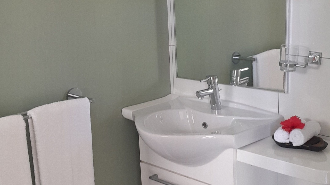 Photo of Bathroom in Anse Royale