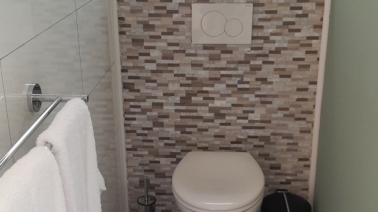 Photo of Bathroom in Anse Royale