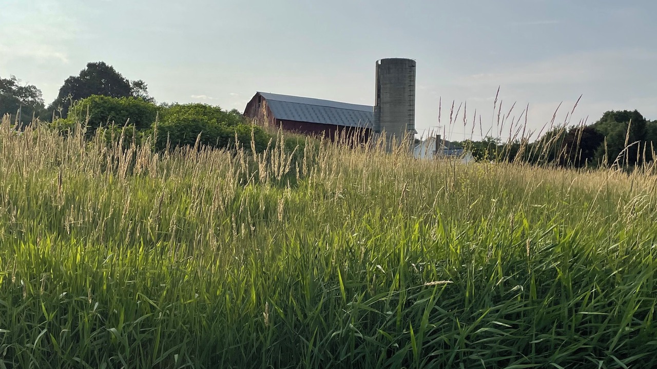 Photo of Outdoor in Farmersville Station