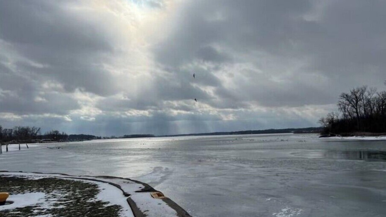 Photo of Others in Cayuga