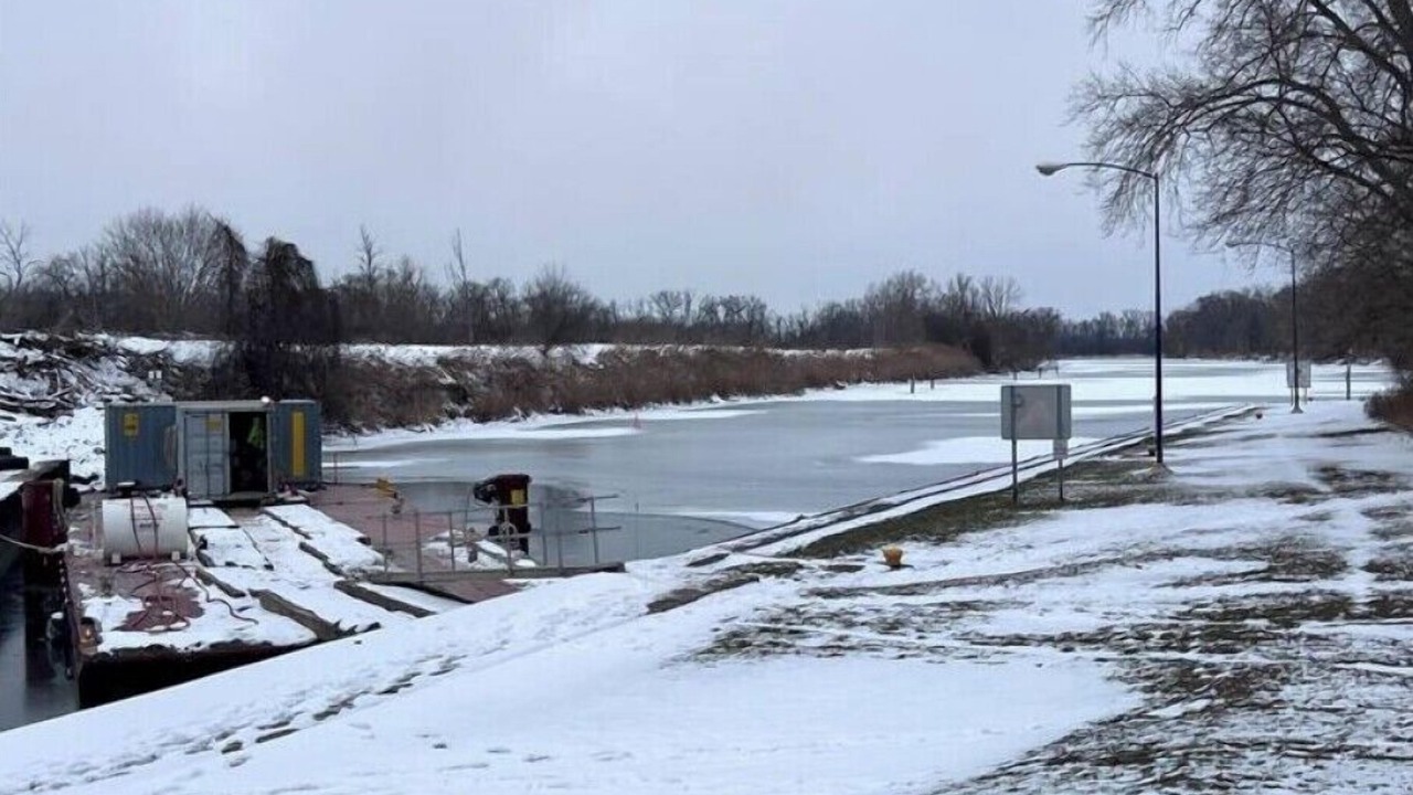 Photo of Others in Cayuga