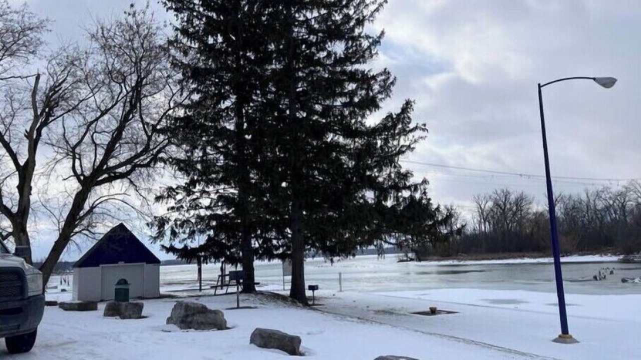 Photo of Others in Cayuga