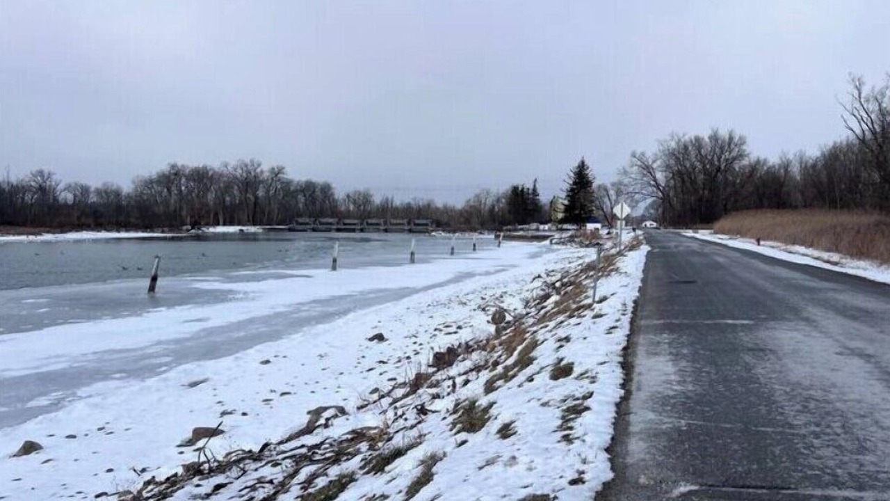Photo of Others in Cayuga