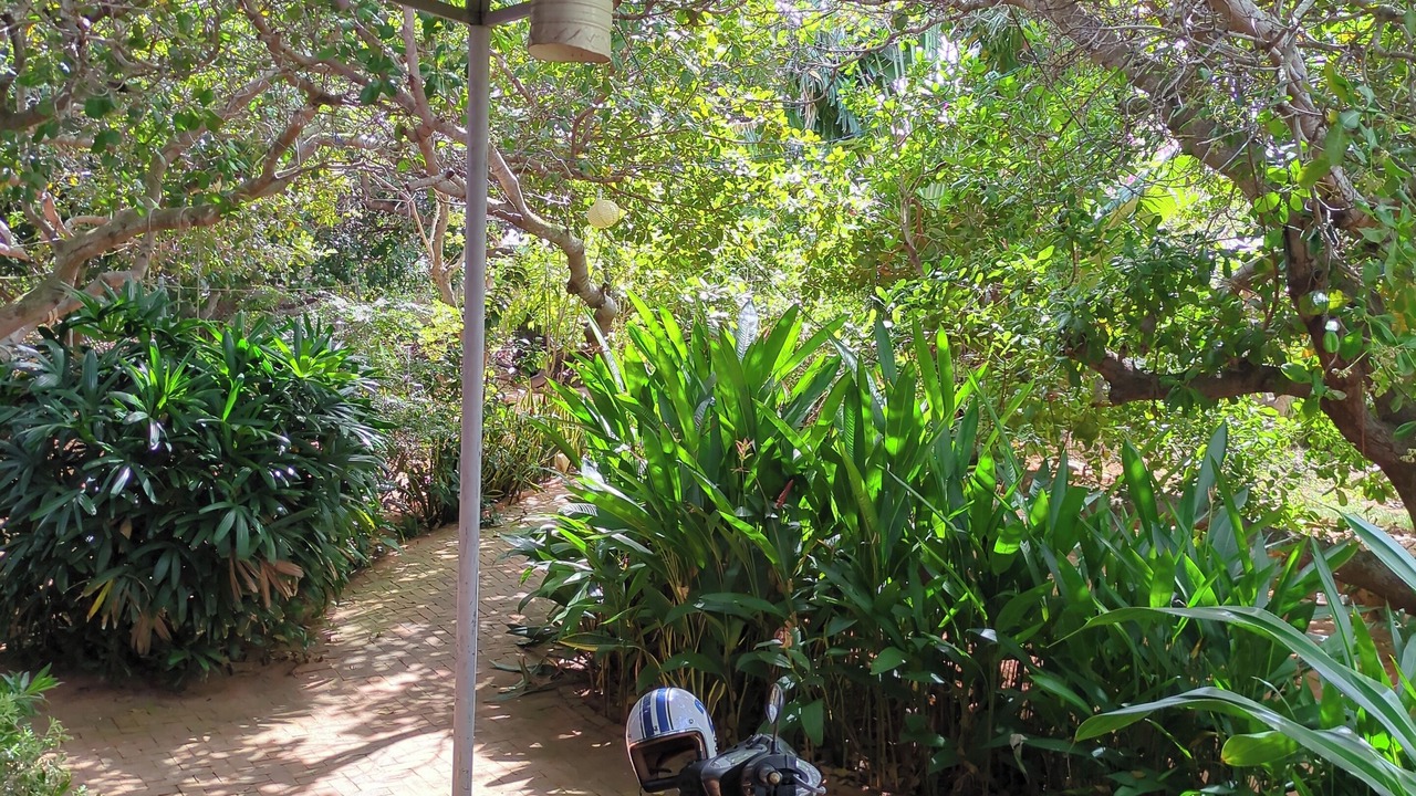 Photo of Outdoor in Old Quarter