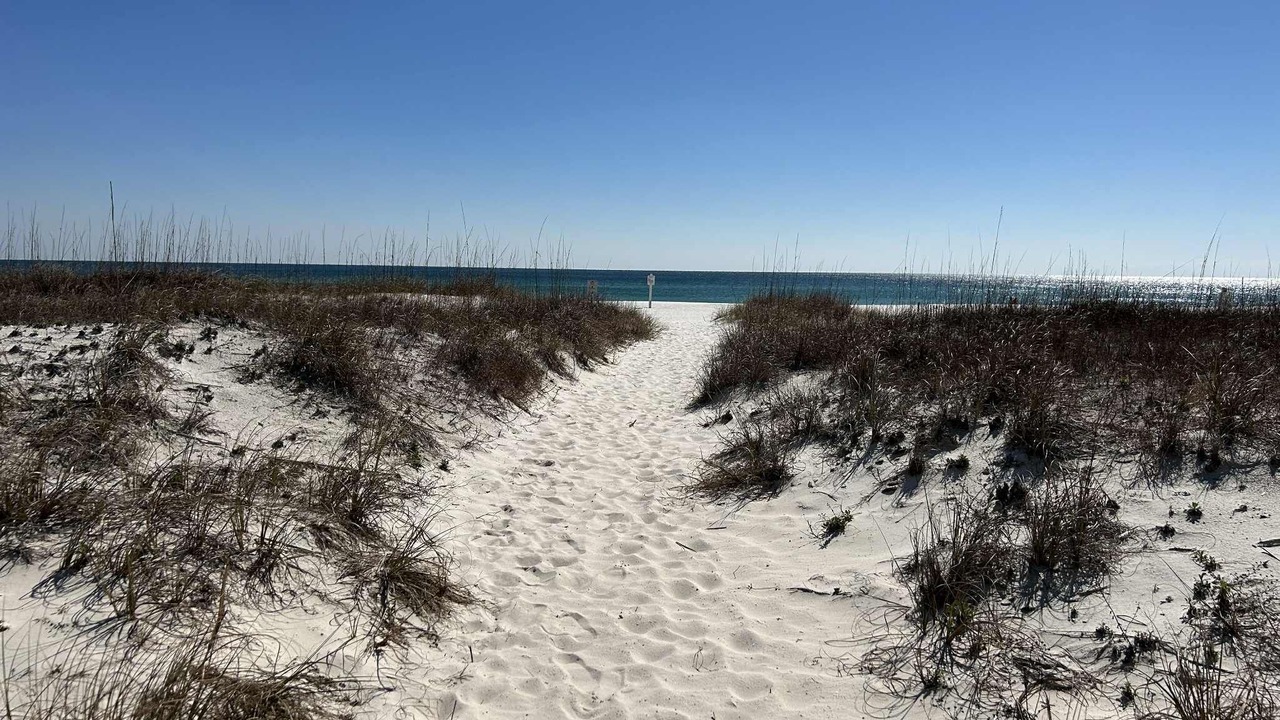 Photo of Others in Orange Beach
