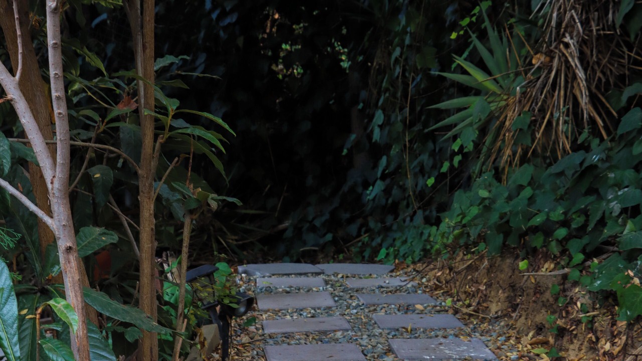 Photo of Outdoor in Los Angeles