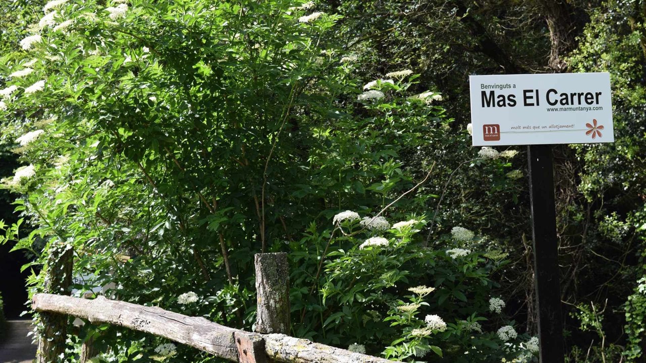 Photo of Outdoor in Santa Pau