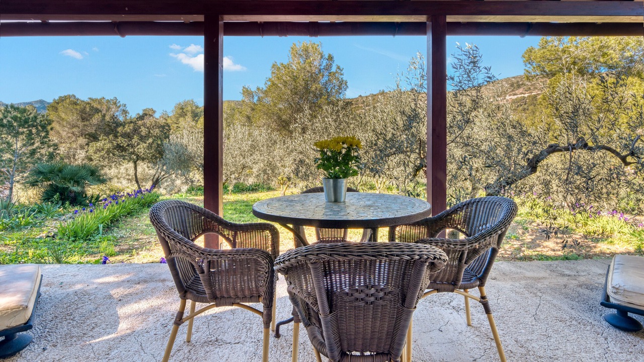 Photo of Outdoor in Pedreguer