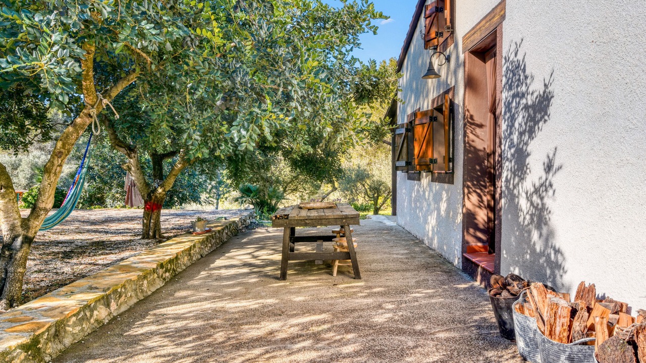 Photo of Outdoor in Pedreguer