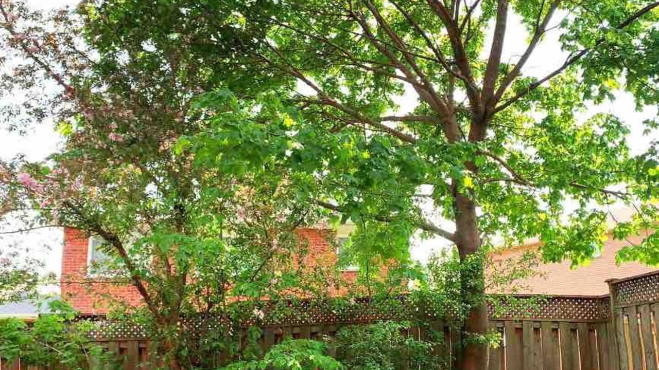 Photo of Outdoor in Aurora