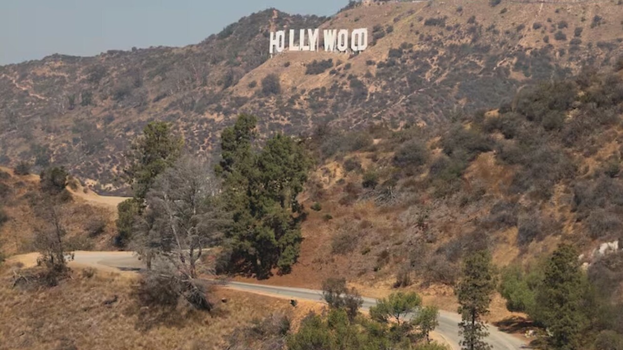 Photo of Others in Los Angeles
