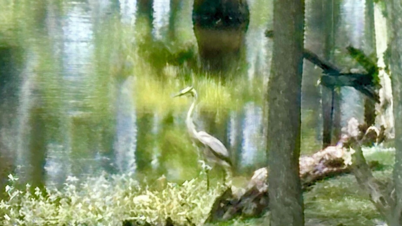 Photo of Outdoor in Monroe