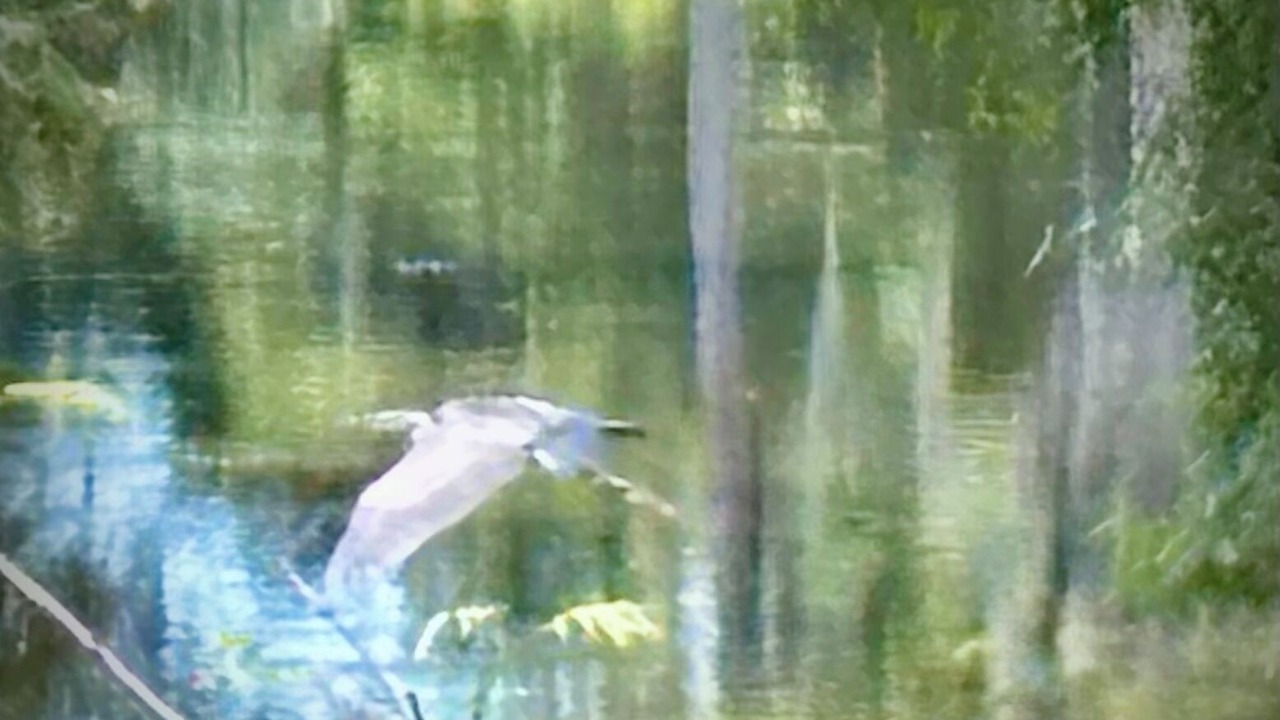 Photo of Others in Monroe