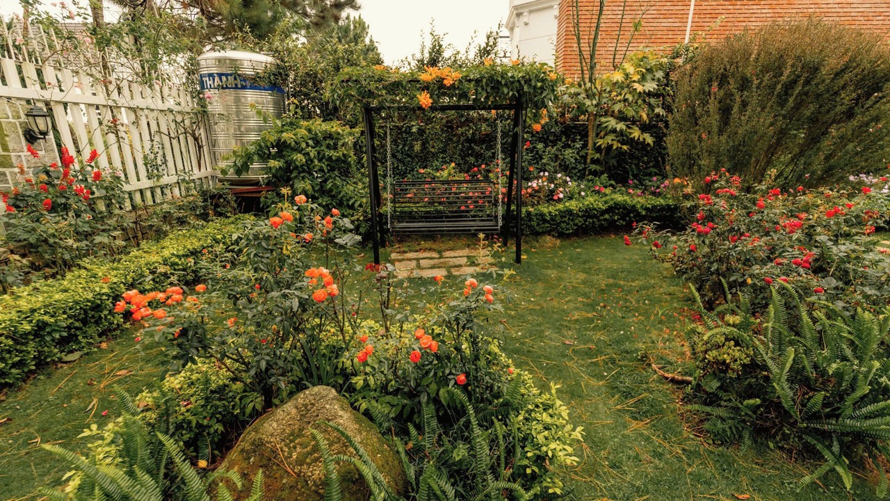 Photo of Outdoor in Phuong