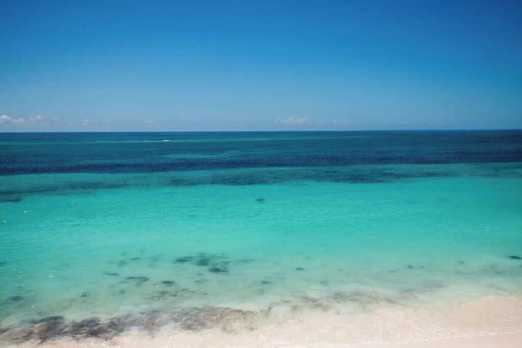 Photo of Others in Bahama Palm Shores