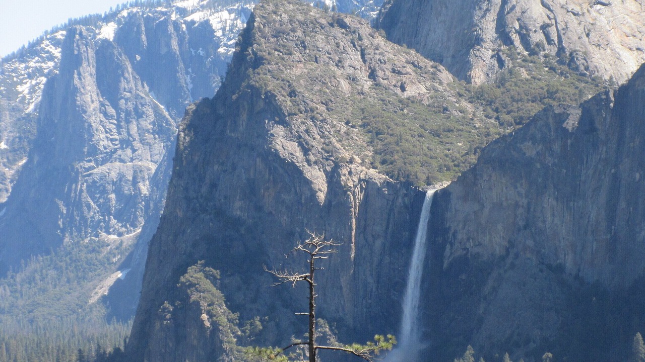 Photo of Others in Yosemite Forks