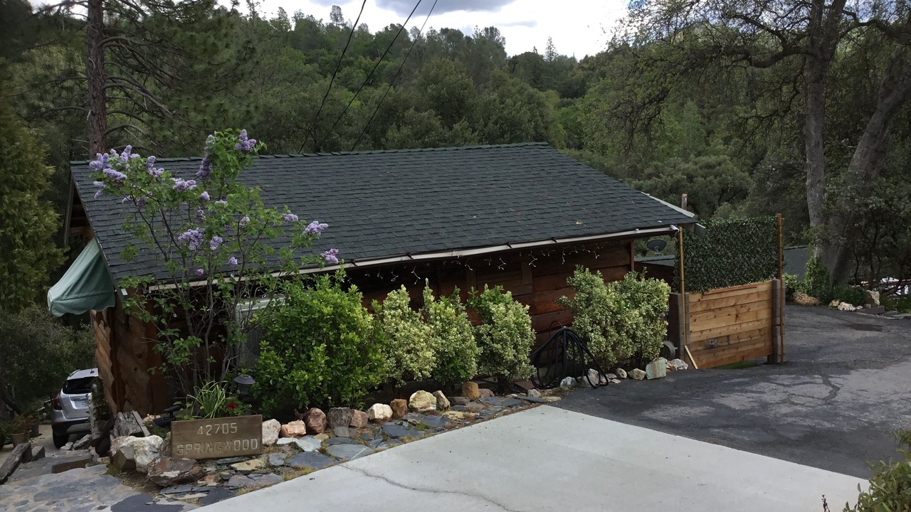 Photo of Others in Yosemite Forks