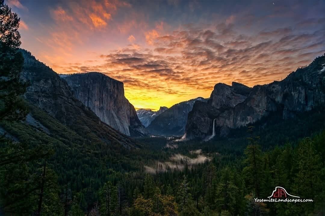 Photo of Others in Yosemite Forks