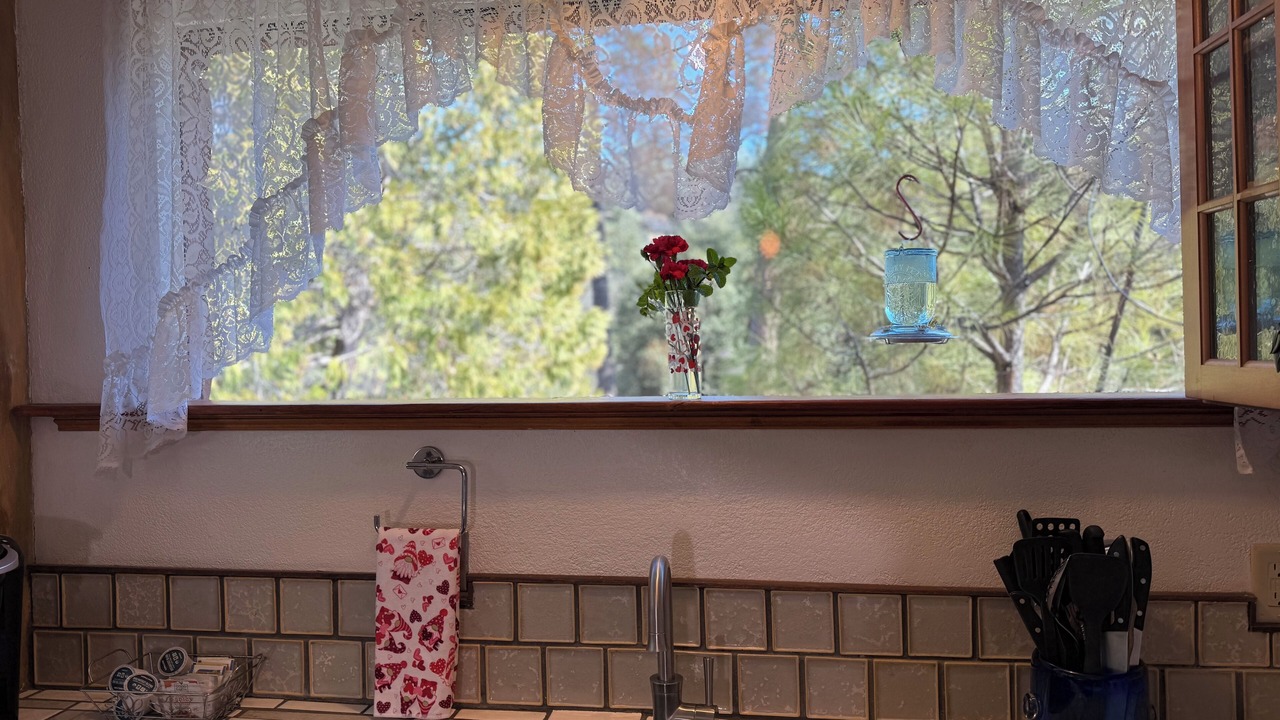 Photo of Others in Yosemite Forks