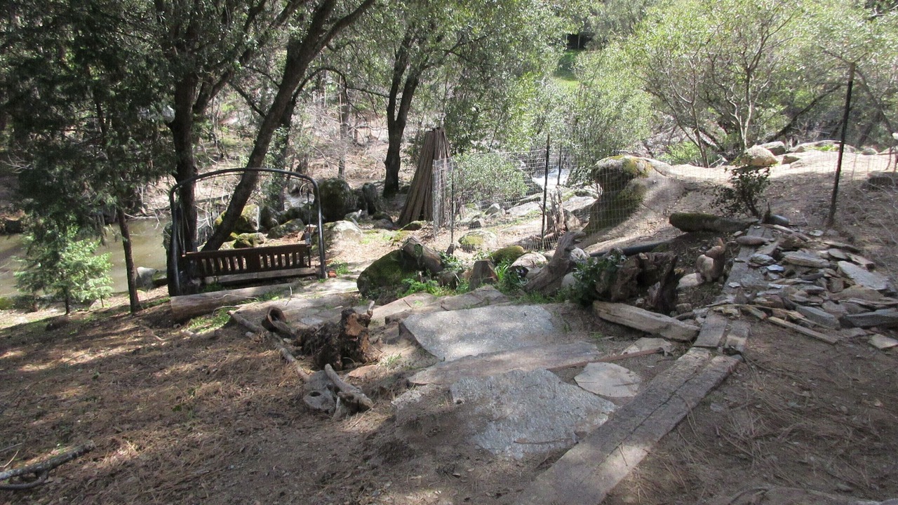 Photo of Others in Yosemite Forks