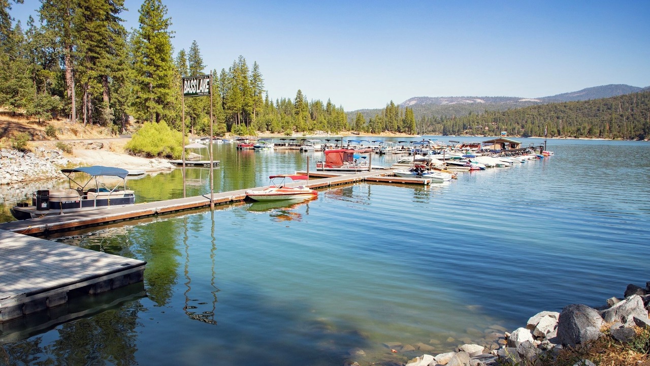 Photo of Others in Yosemite Forks