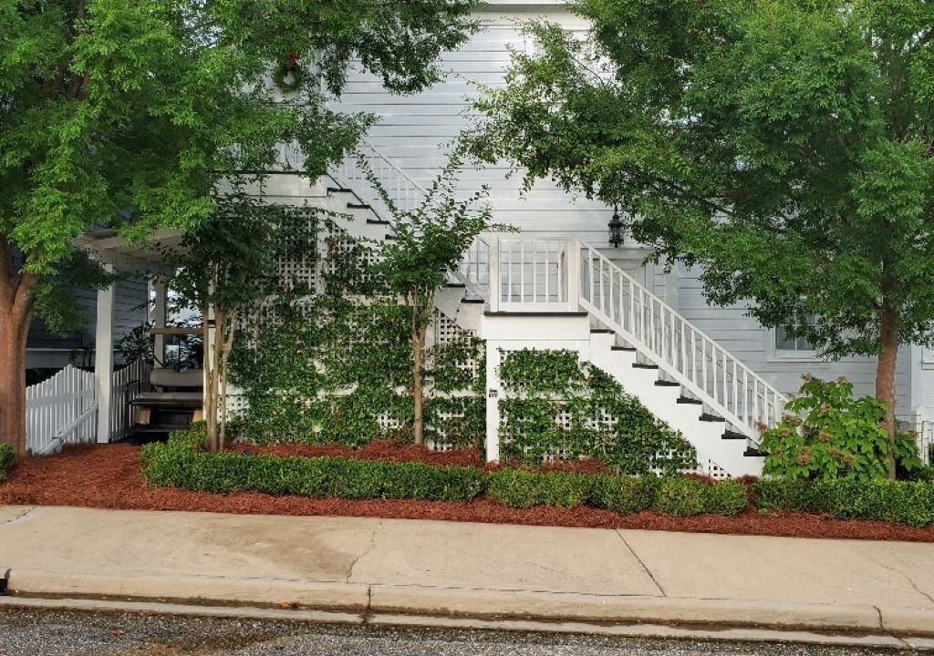 Photo of Outdoor in Mount Meigs